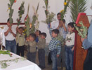 Children holding the blessed olive and palm branches