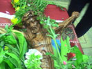 Great and Holy Week in 2011