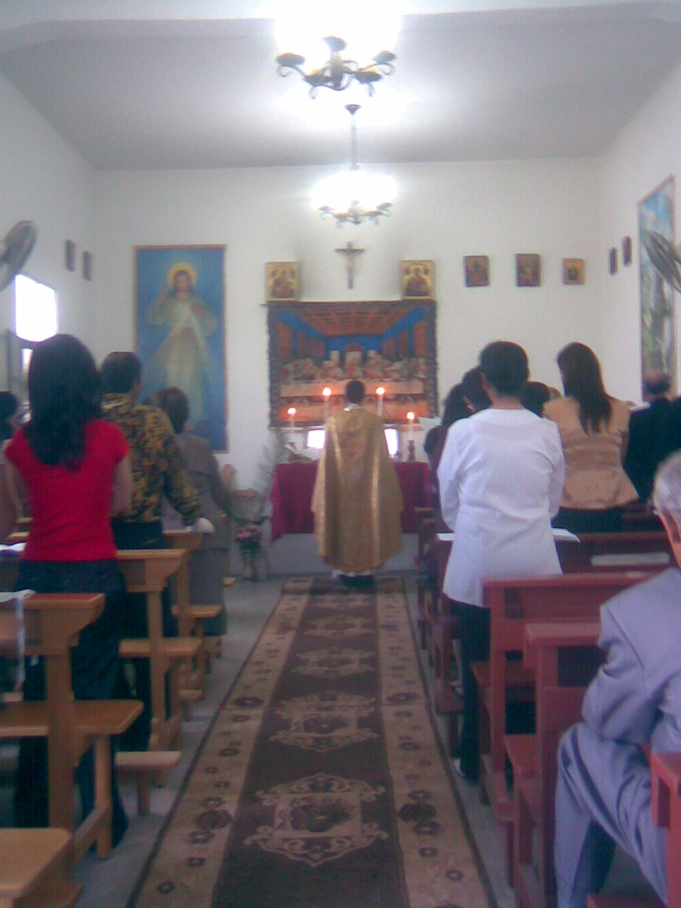 Priest blessing the olive and palm branches