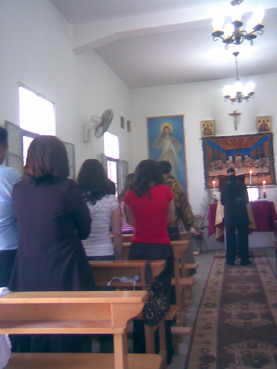 Priest blessing the olive and palm branches