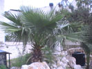 school building outside
