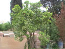 school building inside